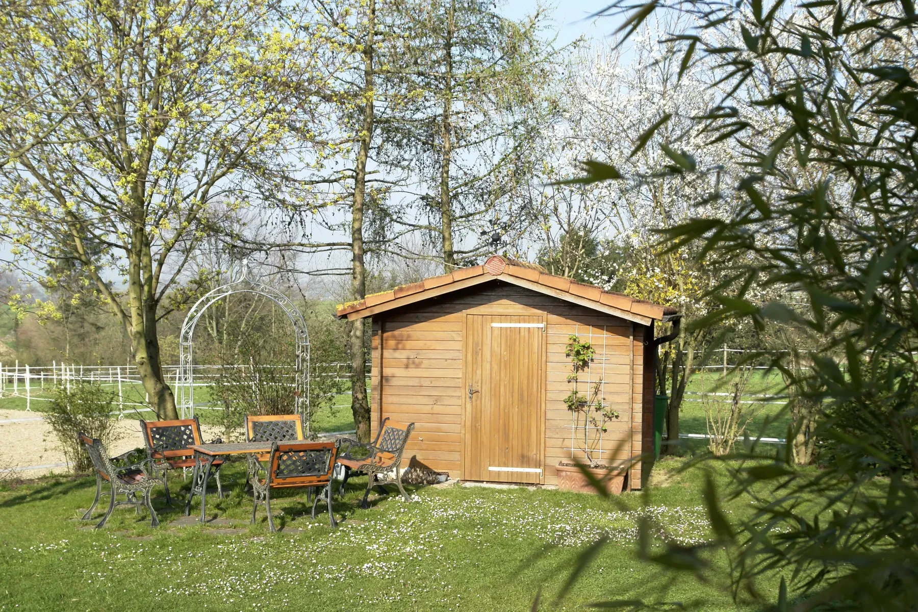 Do You Need a Permit for a Log Cabin in the Netherlands? Vergunningvrij Rules Explained