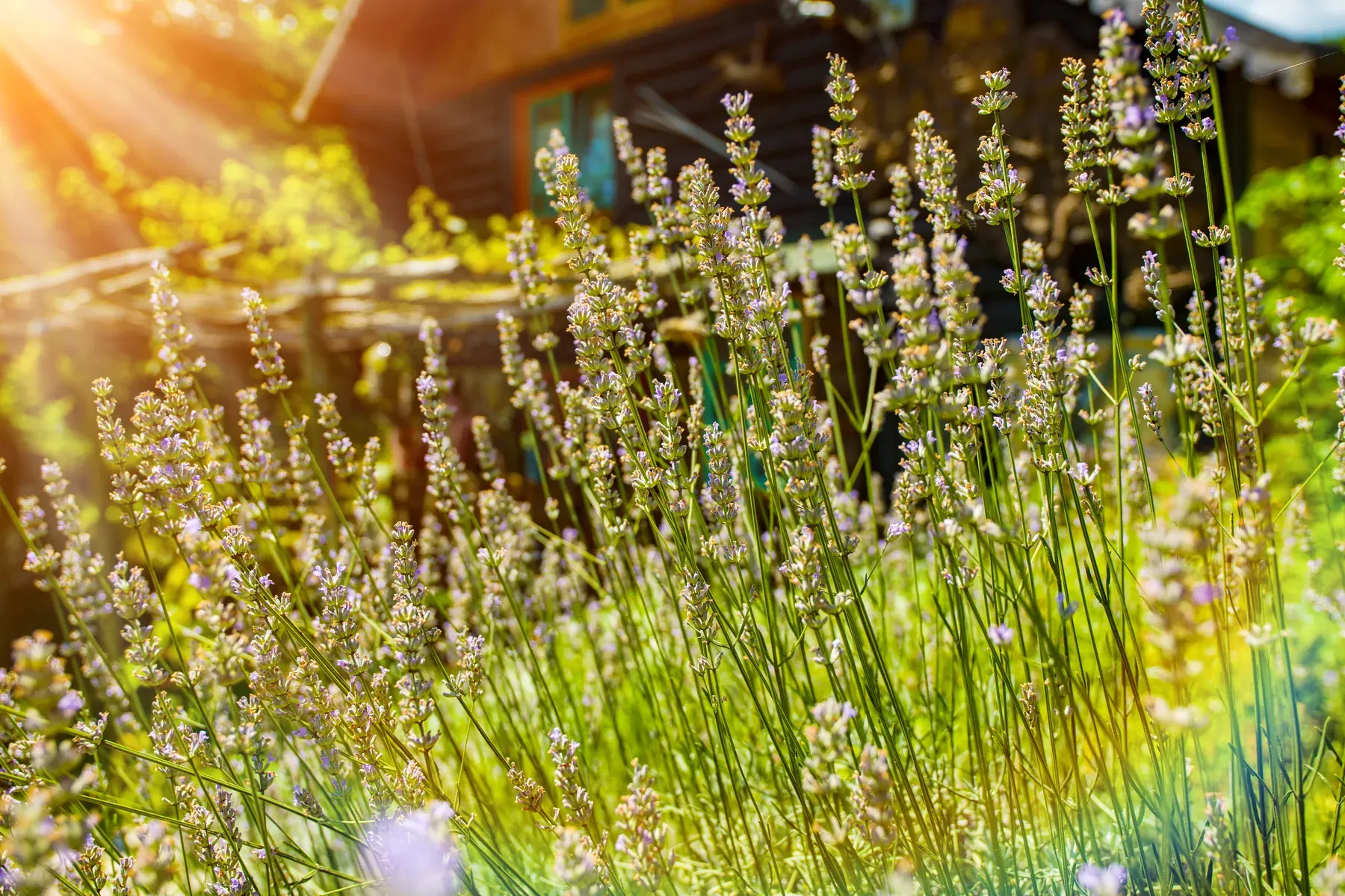 Garden Cabins in France: Déclaration Préalable, Permits and Taxes Explained